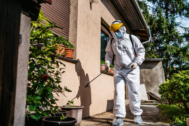 Best Best Pest Control Companies  in Hancock, MI