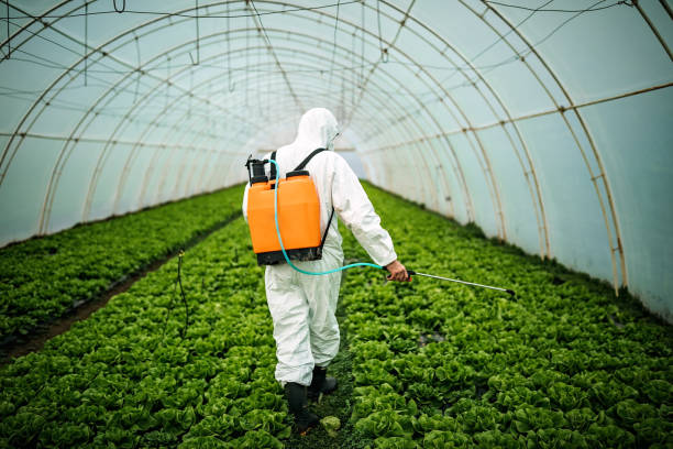 Best Affordable Pest Control Services  in Hancock, MI