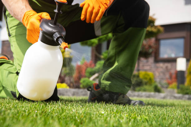 Best Ant Control Services  in Hancock, MI