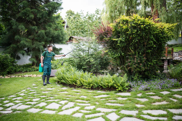 Wasp Removal Services in Hancock, MI