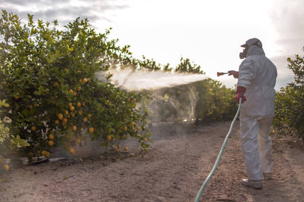 Best Best Pest Control Companies  in Hancock, MI