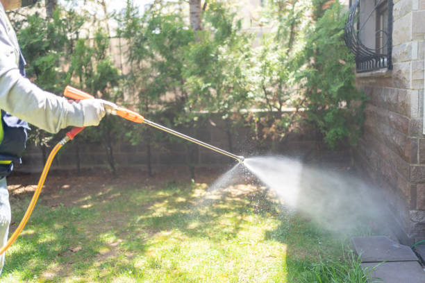 Trusted Hancock, MI Pest Control Experts
