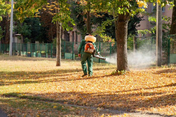 Best Best Pest Control Companies  in Hancock, MI