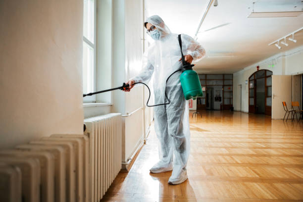 Best Mosquito Control Services  in Hancock, MI